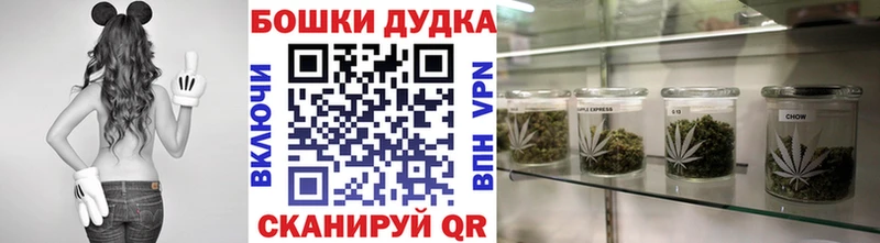 ГАШИШ Западная Двина
